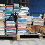 Books_5_FelizS_2014