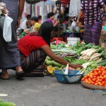 VegetableMarket_5_FelizS_2014