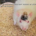 thumb_large_poster_0000130