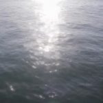 thumb_large_poster_0000142